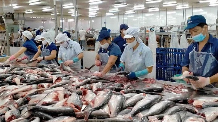 Theo Cục Thủy sản và kiểm ngư, nếu áp thuế đối ứng mức 46% sẽ ảnh hưởng lớn đến chuỗi sản xuất ngành hàng.