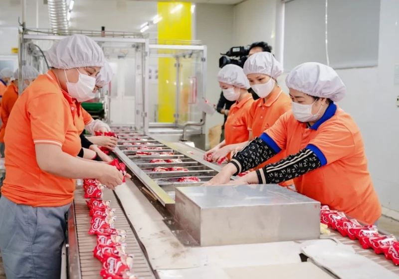 Chịu ảnh hưởng lớn bởi đại dịch Covid-19 suốt hơn 2 năm qua, Công ty cổ phần Quốc tế Bảo Hưng (tỉnh Thái Bình) vẫn kinh doanh có lãi và hoàn thành mọi nghĩa vụ Thuế với nhà nước.