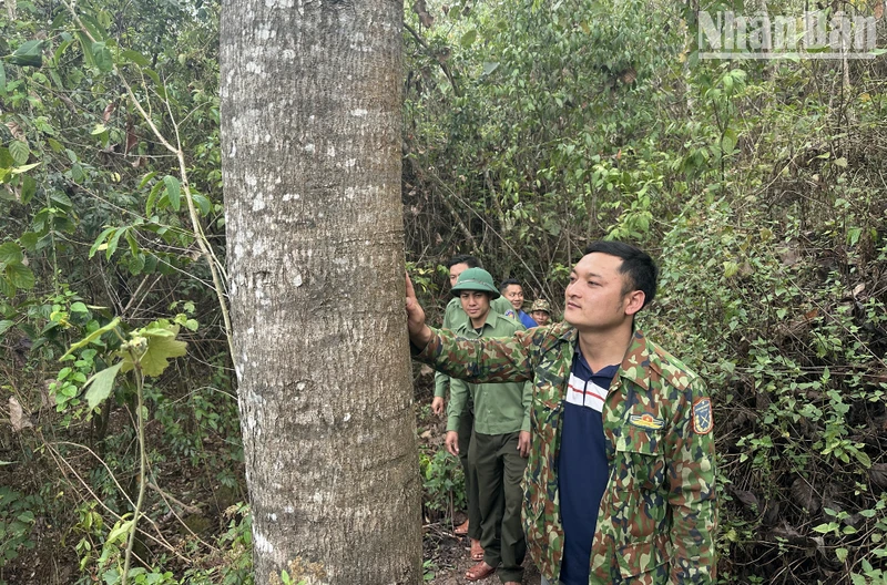 Người dân huyện Mường Nhé tuần tra bảo vệ rừng.