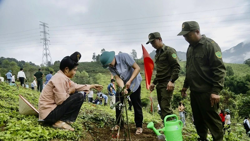 Cán bộ, nhân dân huyện Tuần Giáo trồng cây mắc-ca hưởng ứng lễ ra quân trồng, chăm sóc mắc-ca do Ủy ban nhân dân huyện Tuần Giáo phát động.