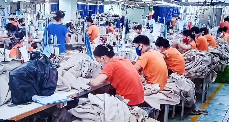 95% công nhân Công ty cổ phần Đầu tư và Thương mại TNG đi làm trở lại