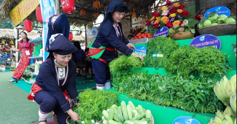 Nông sản của phụ nữ dân tộc thiểu số được trưng bày, giới thiệu tại Ngày hội.