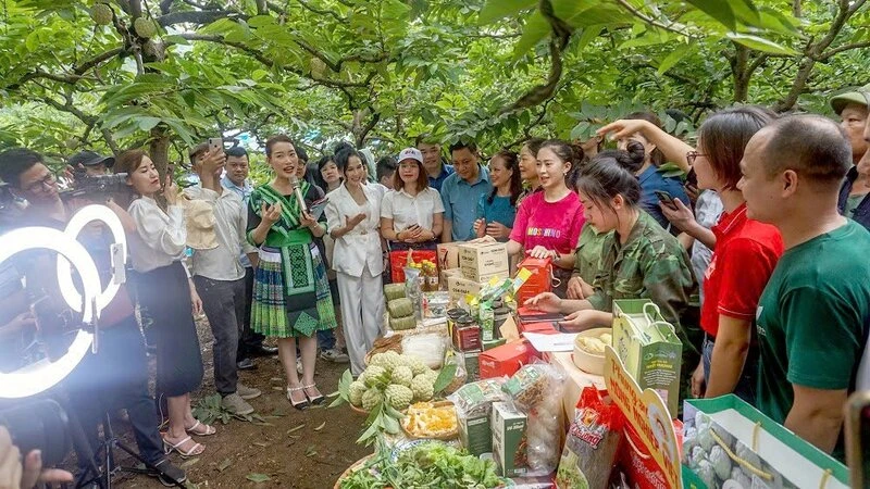 Quảng bá, bán nông sản Thái Nguyên trên sàn thương mại điện tử thời gian qua diễn ra sôi nổi.