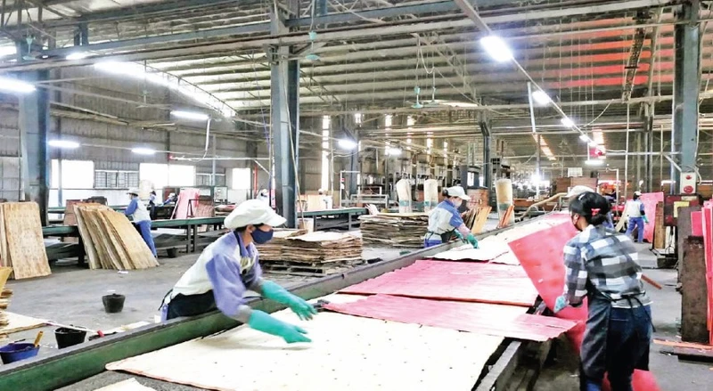 Nhà máy chế biến gỗ công nghiệp Vị Xuyên, tỉnh Hà Giang.