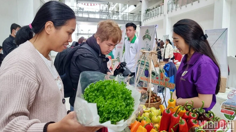 Đặc sản rau Đà Lạt được người tiêu dùng ưa chuộng. 