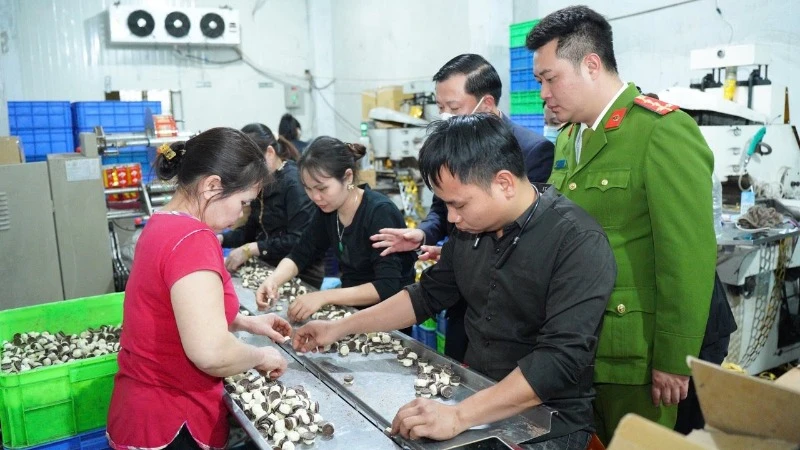 Các cơ quan chức năng kiểm tra công tác bảo đảm an toàn thực phẩm trên địa bàn thành phố Hà Nội.