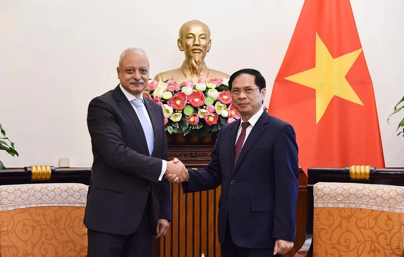 Bộ trưởng Ngoại giao Bùi Thanh Sơn tiếp xã giao Trợ lý Bộ trưởng Ngoại giao Ai Cập Ayman Aly Kamel Aly. (Ảnh: Bộ Ngoại giao)