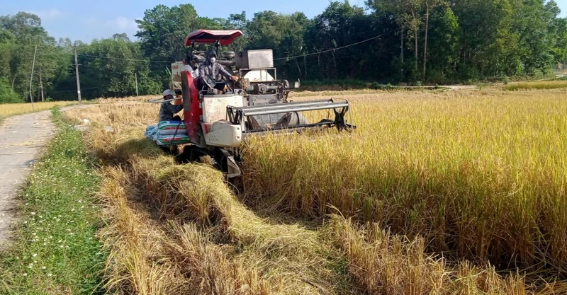 Cơ giới hóa sản xuất nông nghiệp trên địa bàn huyện Phú Bình.