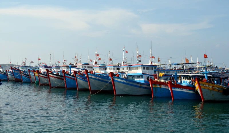 Tàu cá đánh bắt xa bờ neo đậu tại Cảng Phú Quý, Bình Thuận.
