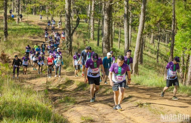 Các vận động viên tham gia giải Dalat Ultra Trail lần thứ 4. 