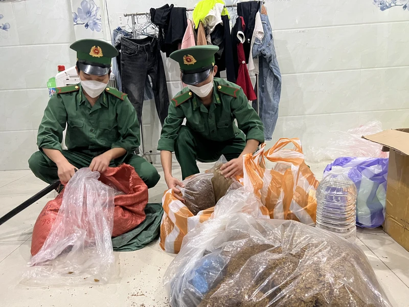 Số thảo mộc tẩm ma túy của Ngô Văn Sang bị lực lượng phòng, chống ma túy và tội phạm Bộ đội Biên phòng Đà Nẵng phát hiện, thu giữ. 