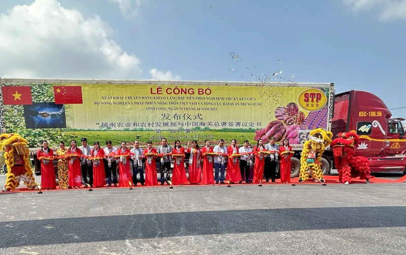 Lễ cắt băng công bố xuất khẩu chuyến hàng khoai lang đầu tiên sang Trung Quốc. 