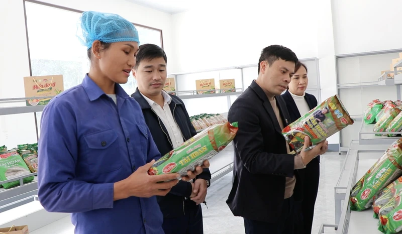 Nhân viên Hợp tác xã giới thiệu sản phẩm miến dong tới du khách. 