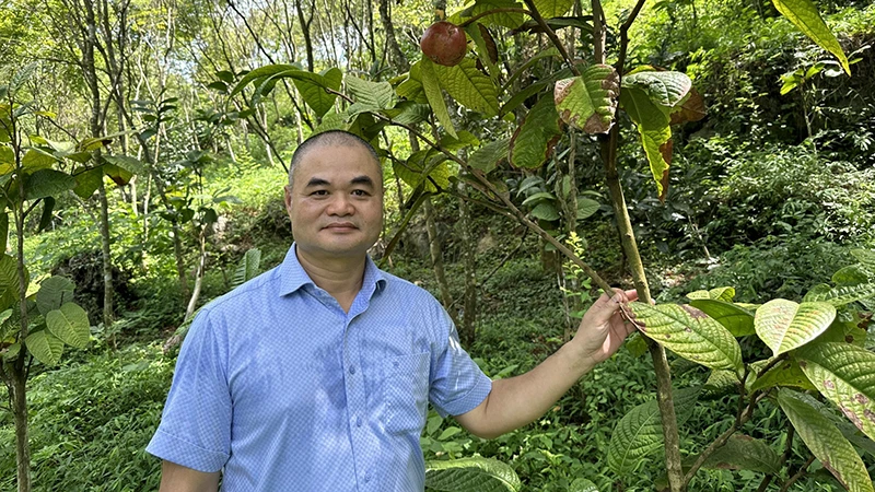 TS Vũ Văn Tâm tại Công viên Trà Hoa vàng, Thung lũng Cổ Ngựa, huyện Nho Quan, Ninh Bình.