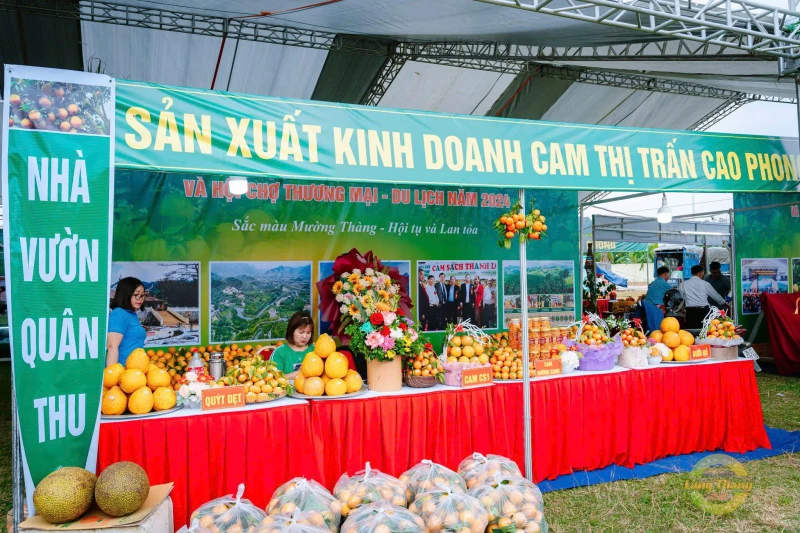 Đẩy mạnh quảng bá thương hiệu Cam Cao Phong