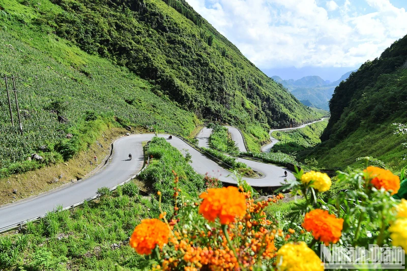 Dốc Thẩm Mã (Hà Giang) nằm ngay trên Quốc lộ 4C, nối giữa thành phố Hà Giang và huyện Mèo Vạc, là một trong những cung đường đèo đẹp và thách thức nhất tại Hà Giang, cuốn hút say mê mọi du khách. (Ảnh: THỦY NGUYÊN)