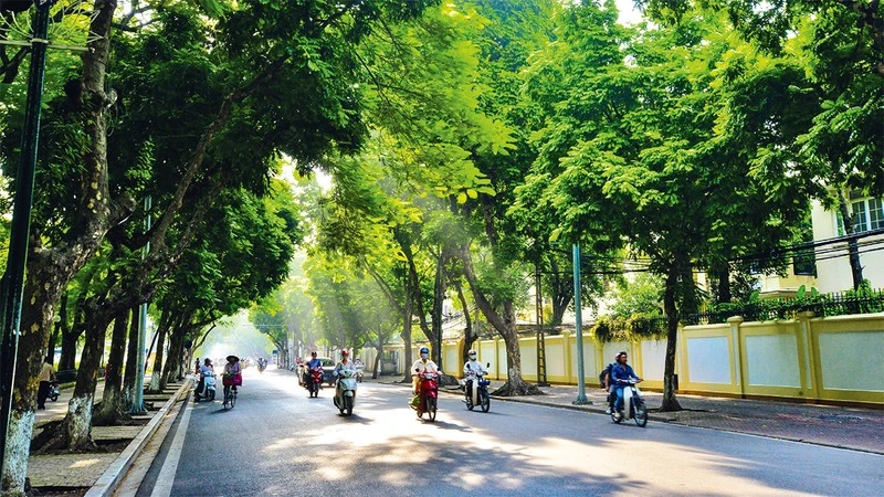 (Ảnh minh họa)