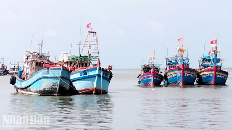 Tàu khai thác hải sản đậu tại cửa biển thành phố Rạch Giá, tỉnh Kiên Giang.