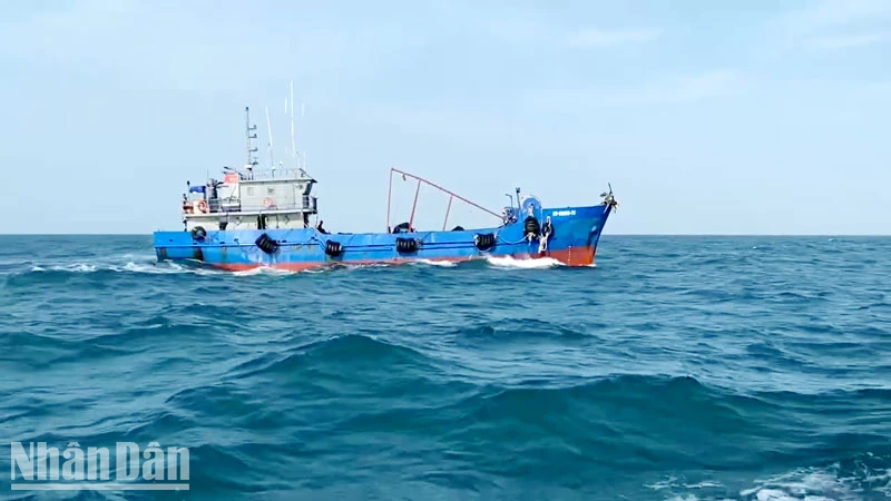 Tàu cá mang số hiệu BV 99889 TS chở khoảng 100.000 lít dầu DO không có giấy tờ chứng minh nguồn gốc hợp pháp của hàng hóa. 