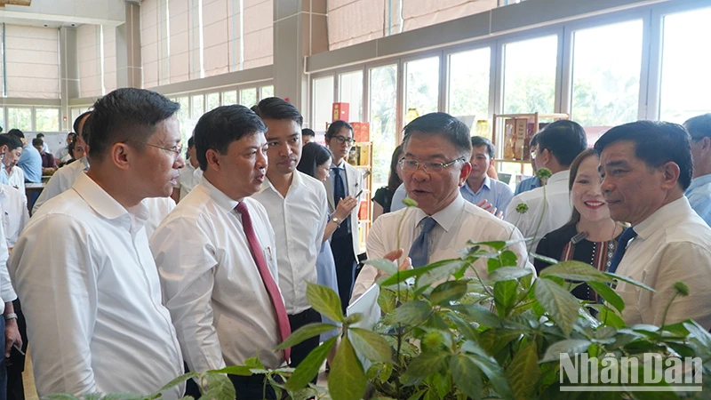 Phó Thủ tướng Chính phủ Lê Thành Long cùng lãnh đạo tỉnh Quảng Nam tham quan gian hàng sâm Ngọc Linh trưng bày tại hội nghị.