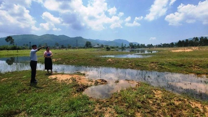 Hiện trạng di tích khảo cổ quốc gia Phôi Phối-Bãi Cọi. 