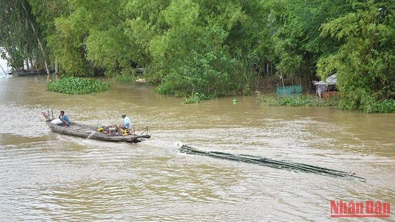 Nước lũ dâng cao tại thành phố biên giới Hồng Ngự, ngày 12/10 (ảnh: HỮU NGHĨA).