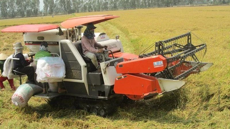 An Giang là trong vựa lúa của cả nước. 