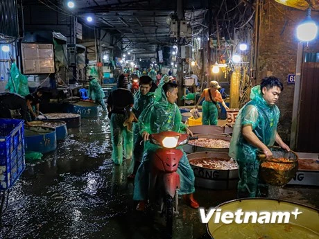 [Ảnh] Chợ cá lớn nhất Thủ đô "trắng đêm" chuẩn bị tiễn ông Táo về trời 