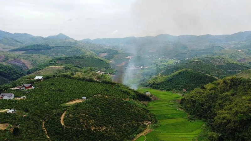 Hiện tỉnh Đắk Nông còn hàng chục nghìn hộ dân di cư tự do sống không tập trung trong rừng phòng hộ, khu bảo tồn, vườn quốc gia và đất lâm nghiệp trên địa bàn. 