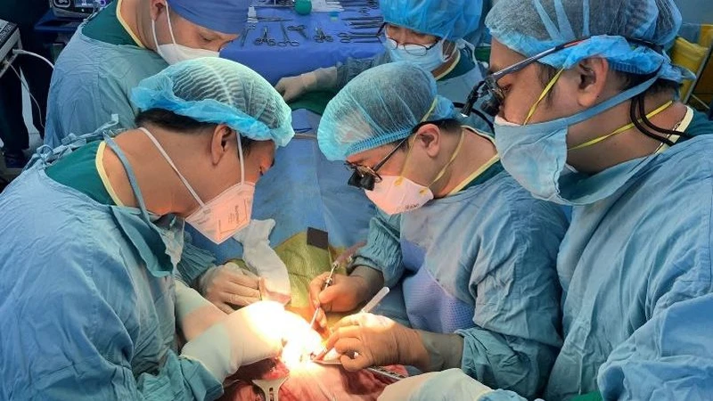 Bệnh viện Nhi Đồng 2 Thành phố Hồ Chí Minh thực hiện ghép gan trở lại. (Ảnh: Bệnh viện cung cấp).
