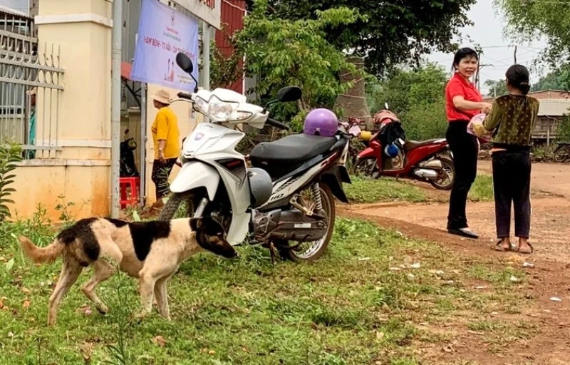 Nuôi cho thả rông là một trong những nguyên nhân dẫn đến bệnh dại (ảnh minh họa).