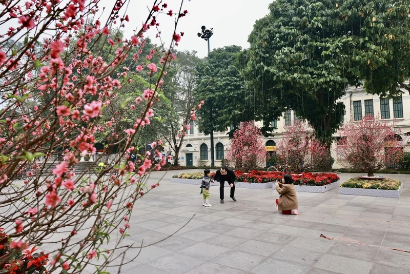 Nhiều gia đình xuất hành đầu năm và du Xuân ngay từ sáng sớm mùng 1 Tết. (Ảnh: Nhật Anh/TTXVN)