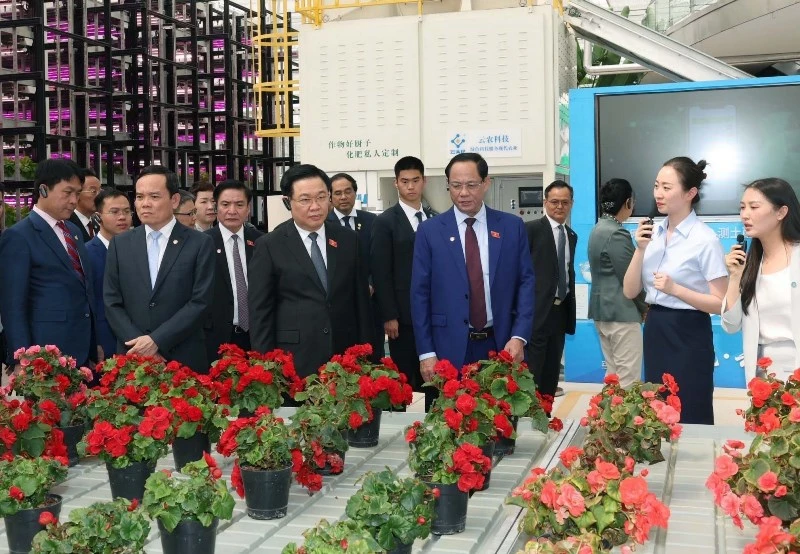Chủ tịch Quốc hội Vương Đình Huệ thăm dự án tiêu biểu về công nghệ cao tại Trung tâm Dịch vụ sáng tạo nông nghiệp xanh Vân Thiên Hóa tỉnh Vân Nam. (Ảnh: Nhan Sáng-TTXVN) 