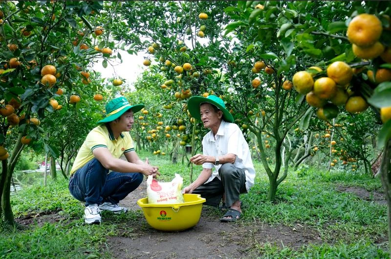 Kỹ sư Phân Bón Cà Mau tư vấn cho nông dân về quy trình, kỹ thuật canh tác.