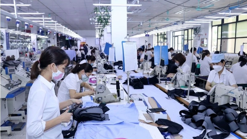 Đóng bảo hiểm xã hội cho người lao động là nghĩa vụ của các đơn vị sử dụng lao động. Ảnh: MINH DUYÊN.