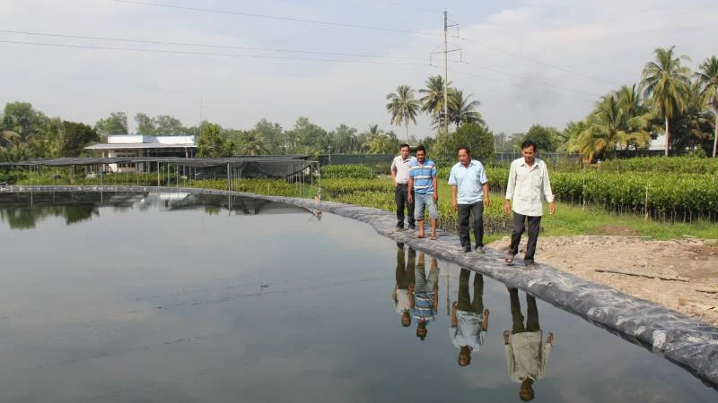 Người dân huyện Chợ Lách (tỉnh Bến Tre) đào ao, trữ nước ngọt phục vụ sản xuất trong mùa hạn mặn. (Ảnh: HOÀNG TRUNG)