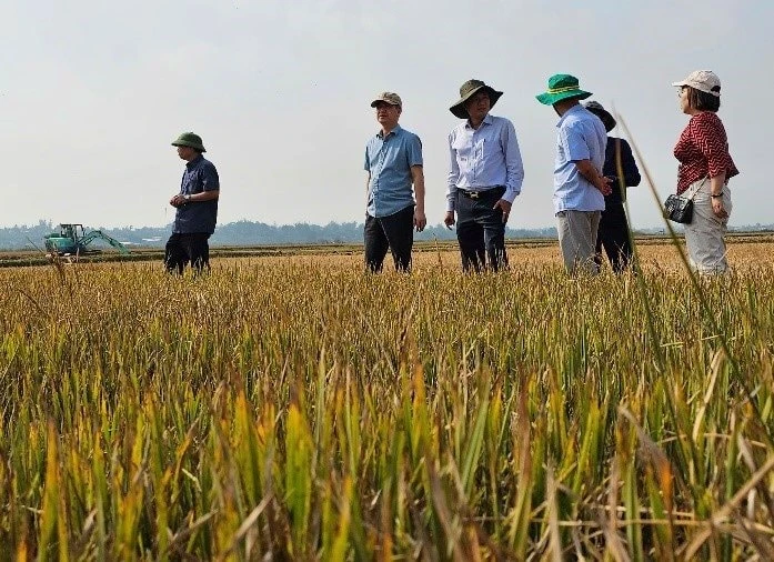 Đoàn công tác kiểm tra về tình hình hạn hán, thiếu nước tại các tỉnh Đắk Lắk, Gia Lai và Kon Tum. (Nguồn: Cục Quản lý và Xây dựng công trình thủy lợi)