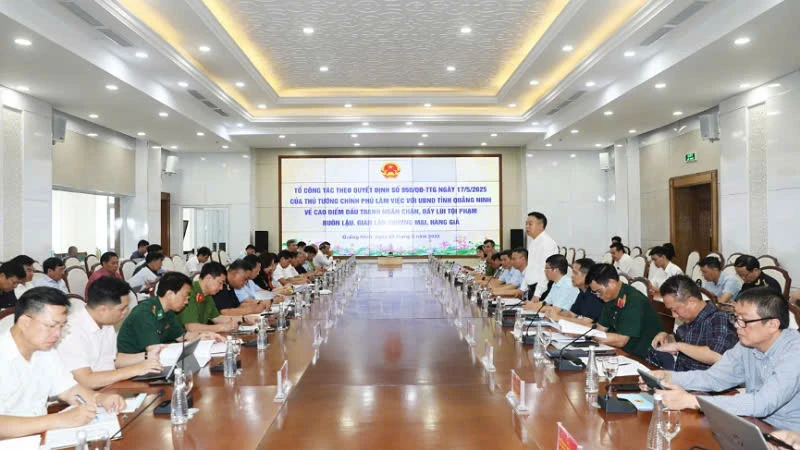 Quang cảnh buổi làm việc.