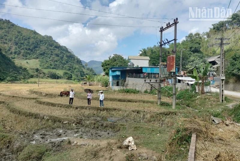 Vị trí xây dựng Cửa hàng xăng dầu có hành lang lưới điện chạy bên trên.