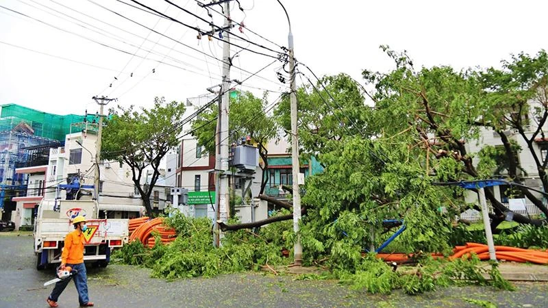 Điện lực Đà Nẵng thu dọn cây xanh để sửa máy biến áp.