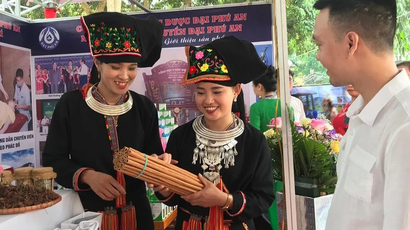Giới thiệu sản phẩm quế điếu.