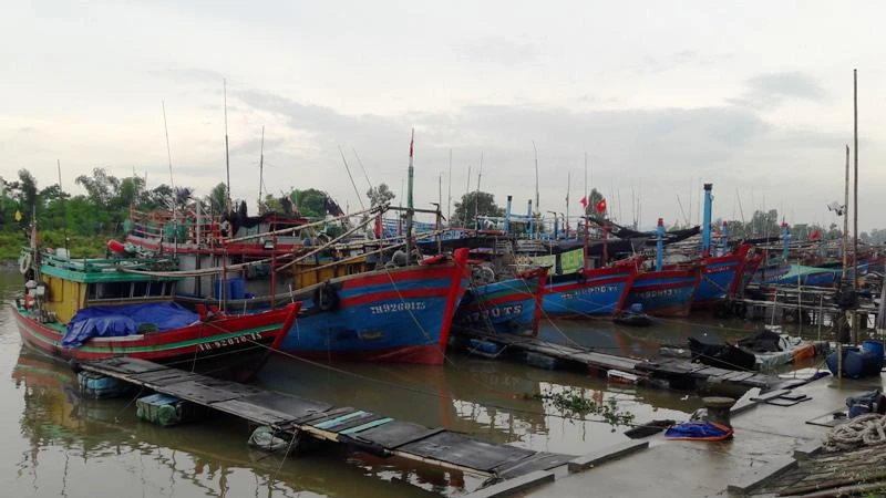Phương tiện nghề cá tỉnh Thanh Hóa neo đậu an toàn tại âu tránh trú bão.