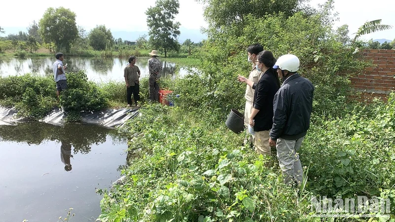Đoàn kiểm tra tiến hành kiểm tra các hồ chứa nước thải của trang trại chăn nuôi.