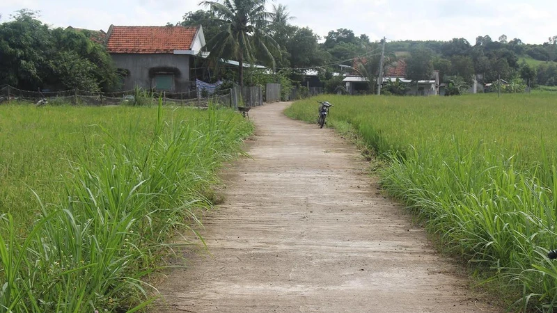 Một khu vực xây dựng công trình dự án cao tốc bắc–nam đi qua tại huyện Tuy An nhưng chưa được bàn giao mặt bằng.