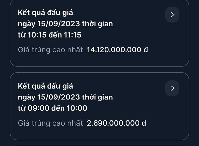 2 biển số đẹp được đấu giá thành công trong phiên sáng nay. (Ảnh: TTXVN)