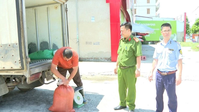 Hơn 300kg lòng lợn bốc mùi hôi thối bị các cơ quan chức năng thu giữ.