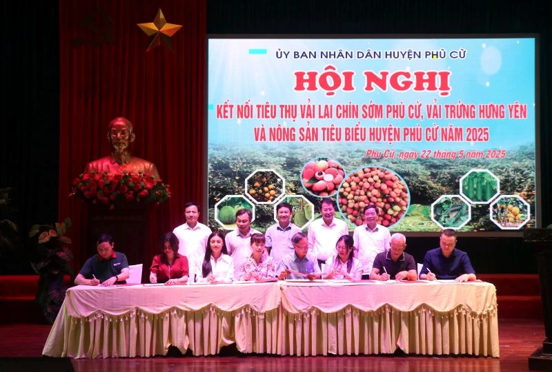 Doanh nghiệp và hợp tác xã ký biên bản ghi nhớ hợp tác tiêu thụ sản phẩm vải lai chín sớm Phù Cừ và vải trứng Hưng Yên.