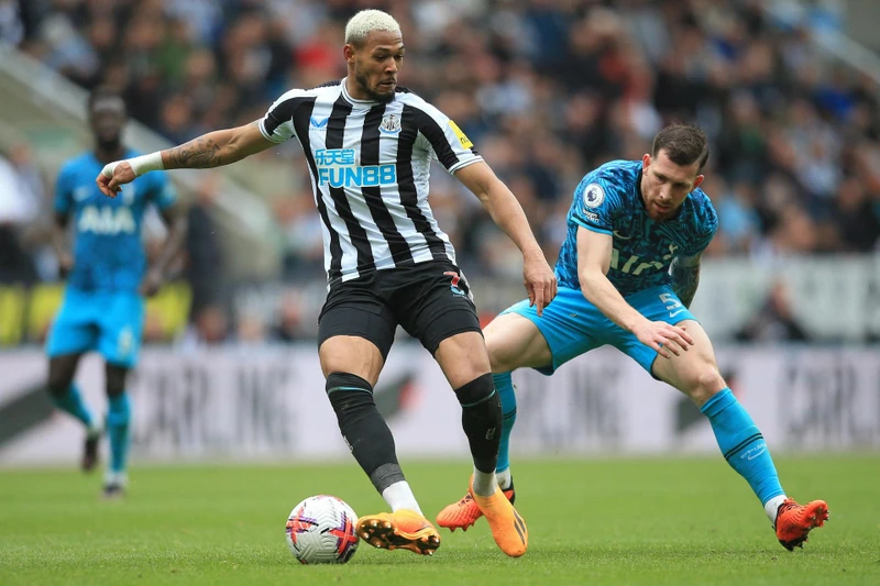 Cuộc chiến giữa Tottenham và Newcastle hứa hẹn nhiều kịch tính. (Ảnh: Times of Malta)