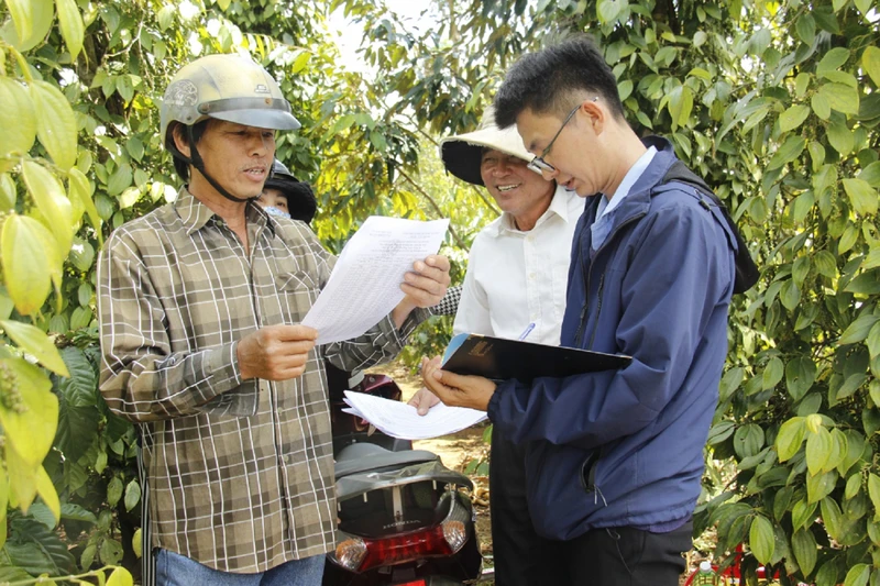 Các địa phương ở Đắk Lắk đang đẩy nhanh công tác kiểm đếm, bồi thường, giải phóng mặt bằng Dự án xây dựng đường bộ cao tốc Khánh Hòa-Buôn Ma Thuột.