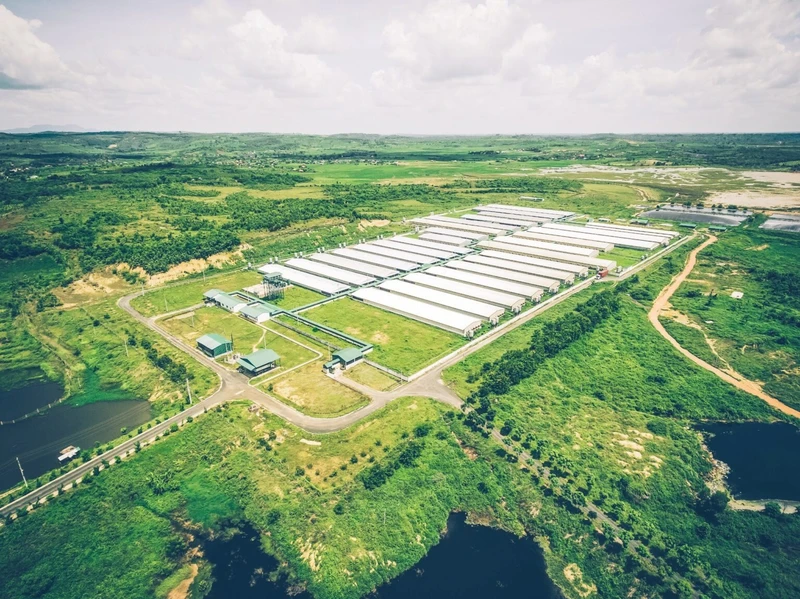 Một trang trại lợn ở Cư Jút (Đắk Nông) theo mô hình tuần hoàn giảm phát thải khí nhà kính.